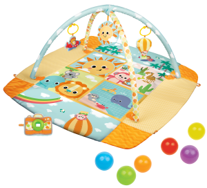 Travel Fun Deluxe Gym
