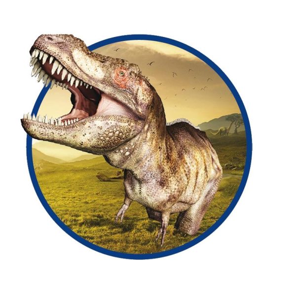 Excavate a T-Rex Skeleton - Image 5