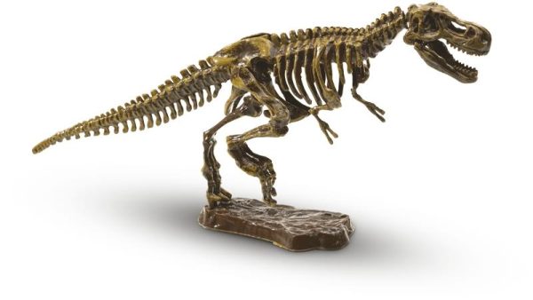Excavate a T-Rex Skeleton - Image 2