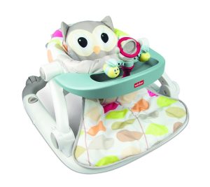 Sit-To-Walk Activity Centre (Owl)