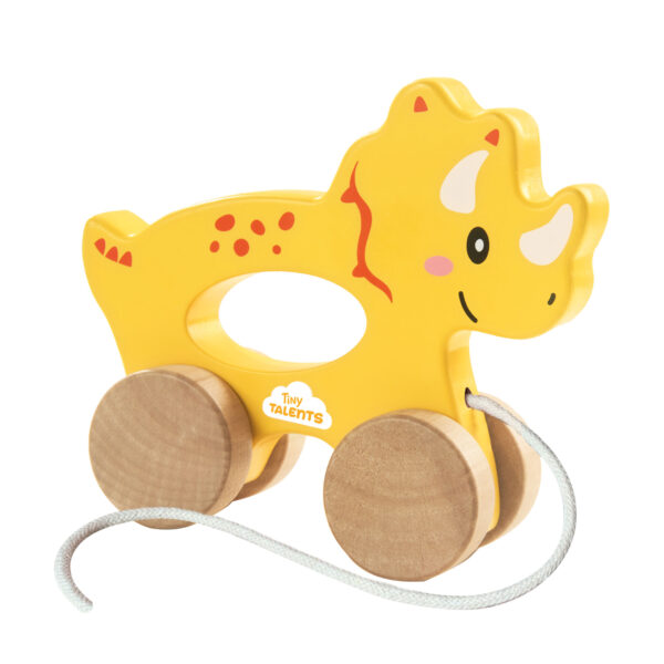 Push and pull 2 in 1 wooden Triceratops