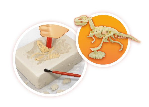 Buki - Volcano & Dinosaurs - Image 5