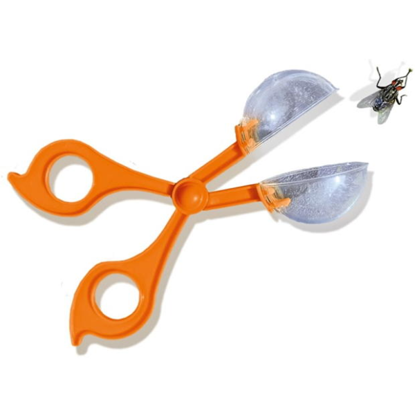 Insect explorer - Image 3