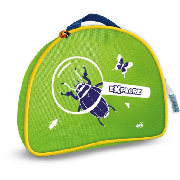 Insect explorer - Image 8