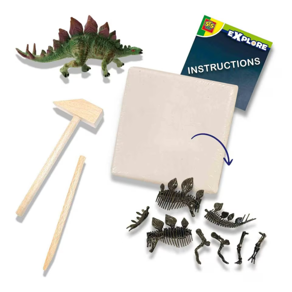 Dino and skeleton excavation 2 in 1 - Stegosaurus - Image 3