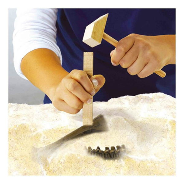 Dino and skeleton excavation 2 in 1 - Stegosaurus - Image 4