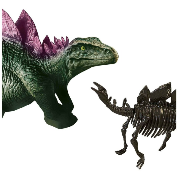 Dino and skeleton excavation 2 in 1 - Stegosaurus - Image 6