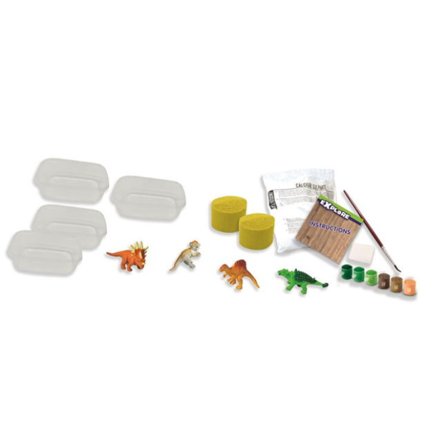 Dino fossils - Image 5