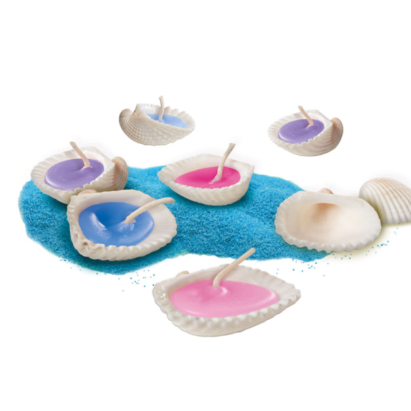 Shell candles - Inspired by nature - Image 4