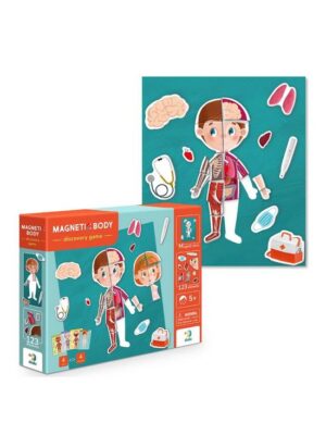 Dodo Magnetic Body Discovery Game