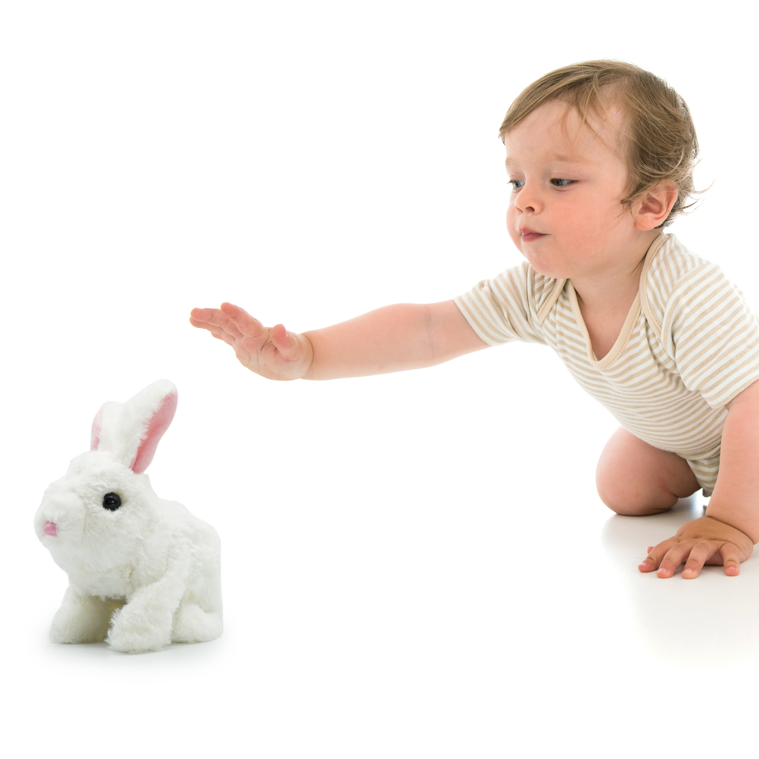 Pugs Play Hopper the Jumping Toy Rabbit - Image 8